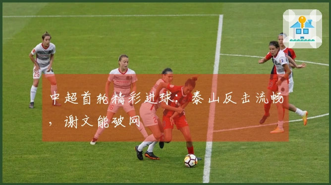 中超首轮精彩进球：泰山反击流畅，谢文能破网